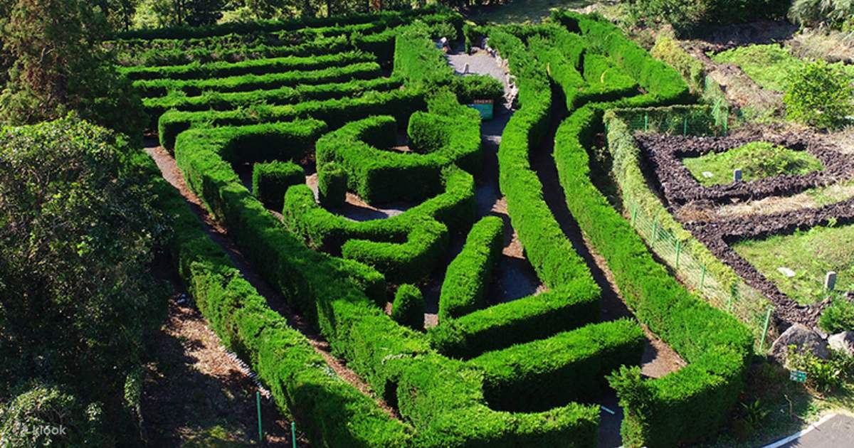 mazes to visit near me        <h3 class=